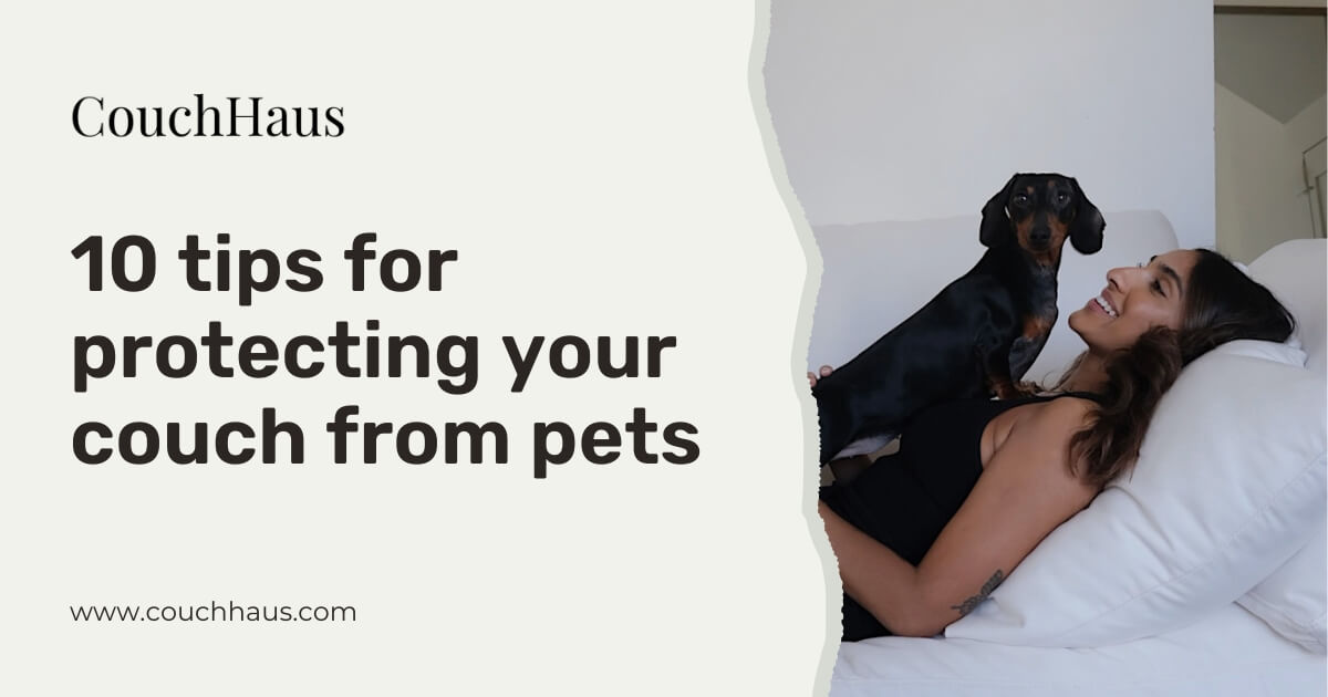 10 tips for protecting your couch from pets | Couch Haus