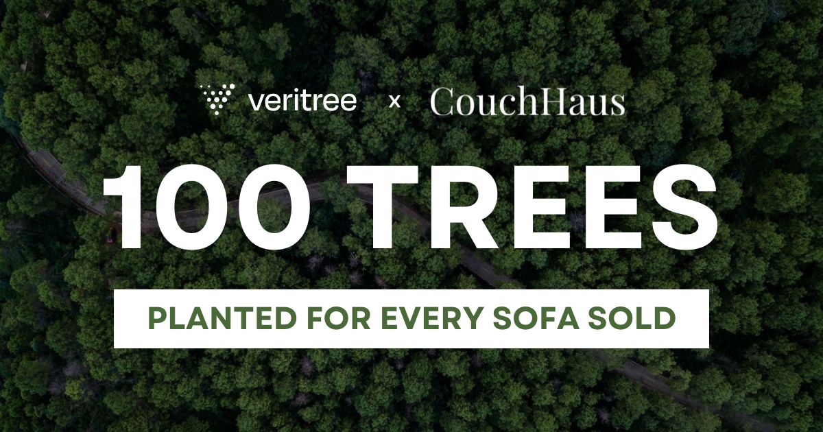 CouchHaus x veritree Partnership | Couch Haus