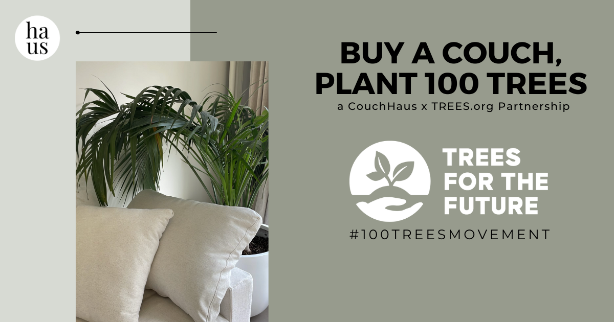 Buy a Couch, Plant #100Trees: A Movement with Trees.Org | Couch Haus