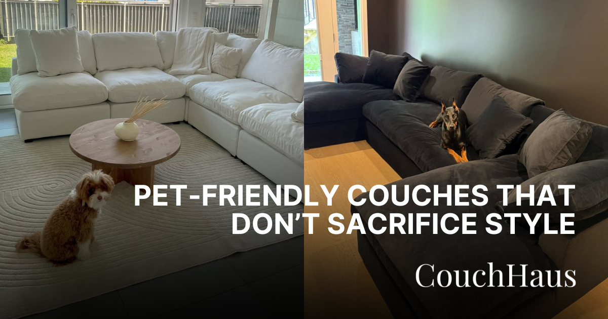 Pet-Friendly Couches That Don't Sacrifice Style | Couch Haus
