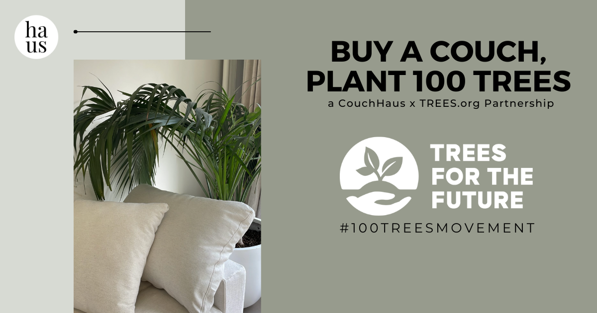 Buy a Couch, Plant #100Trees: A Movement with Trees.Org